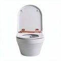 Dual flush toilet with rose gold accents white ceramic 40 x 30 x 38cm